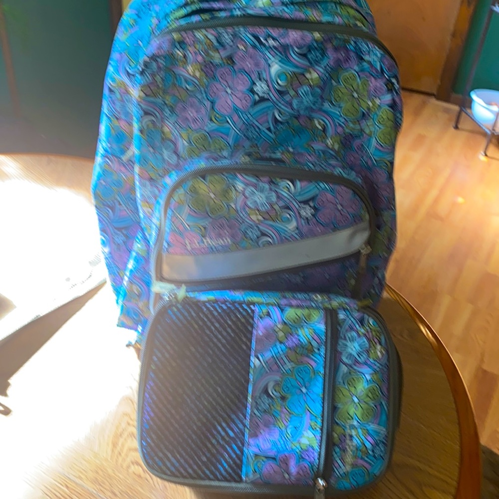 L.l.Bean back pack
